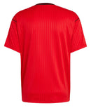 Camisa 25/26 Edição especial - Flamengo