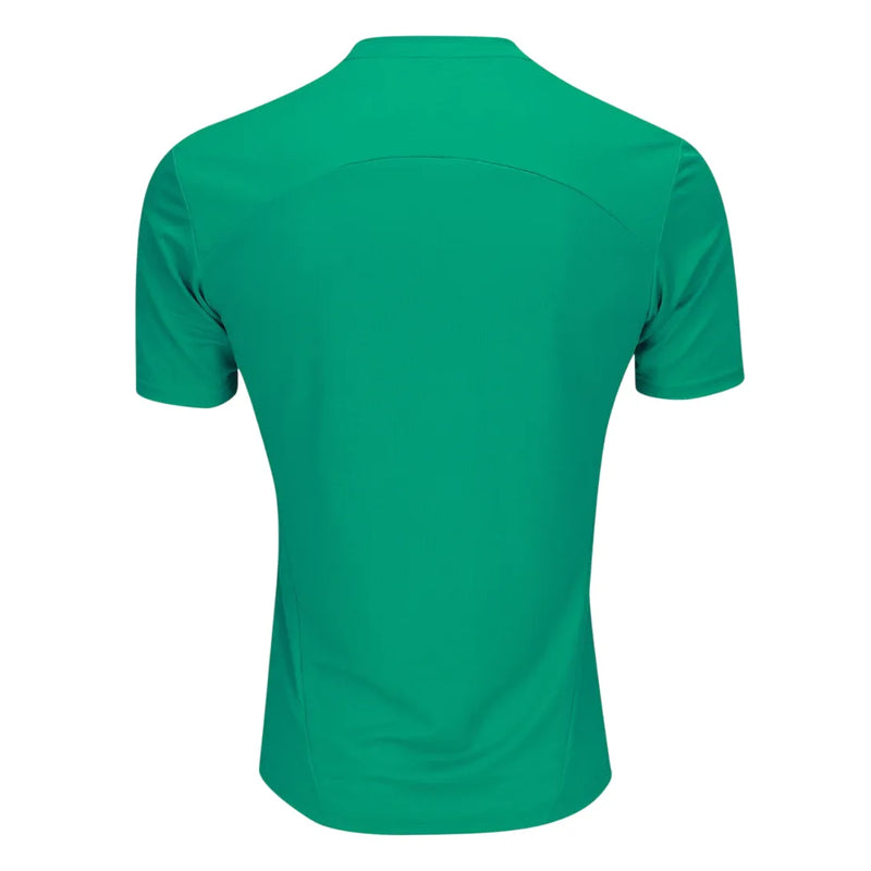 Camisa Palmeiras Treino 25/26 - Versão Torcedor