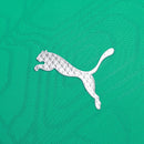 Camisa Palmeiras Treino 25/26 - Versão Torcedor